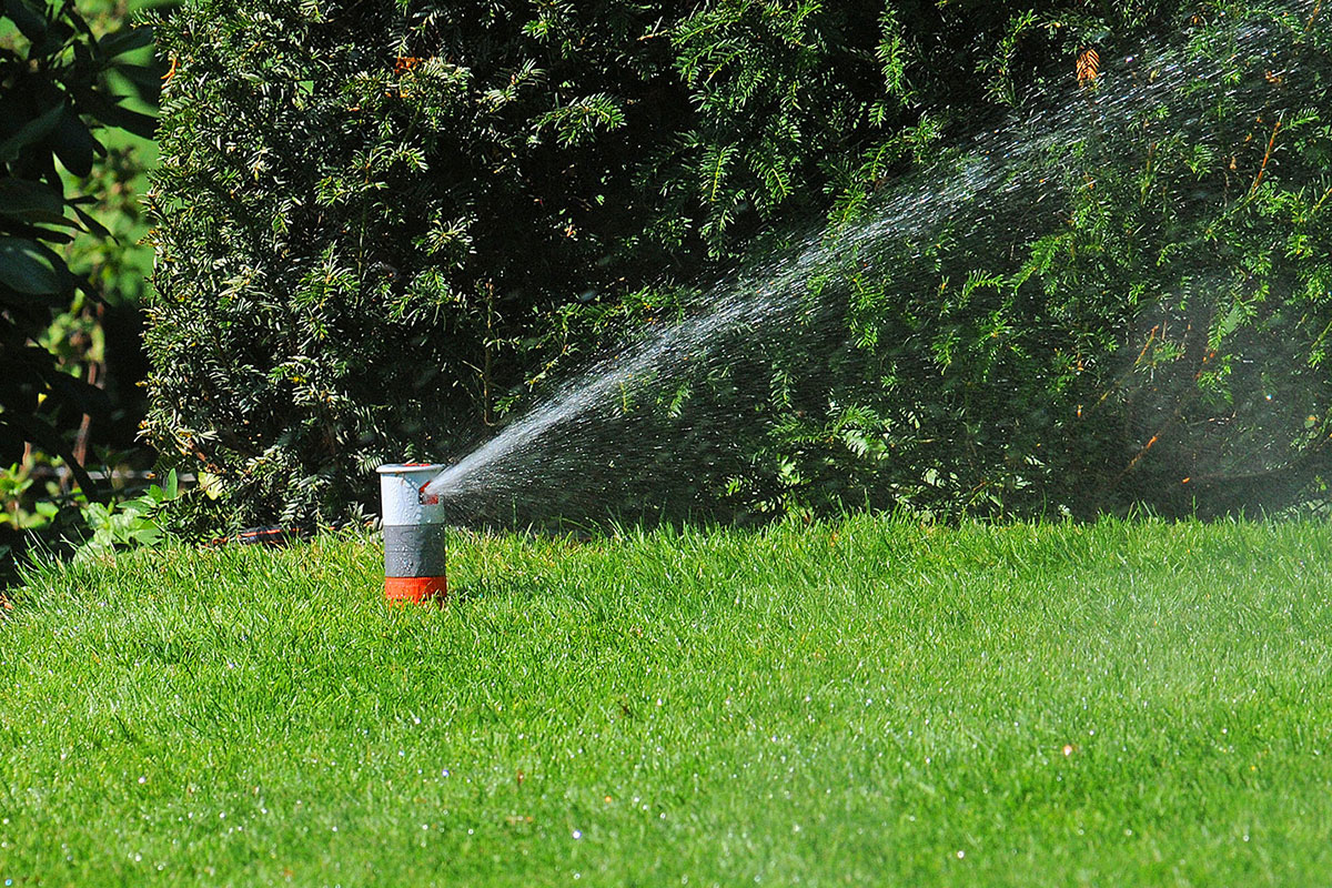 Die Bewässerung Ihres Gartens ist eine wichtige Aufgabe, lassen Sie sich bei Bewässerungsarbeiten von Gartenbau Hohenberg unterstützen.