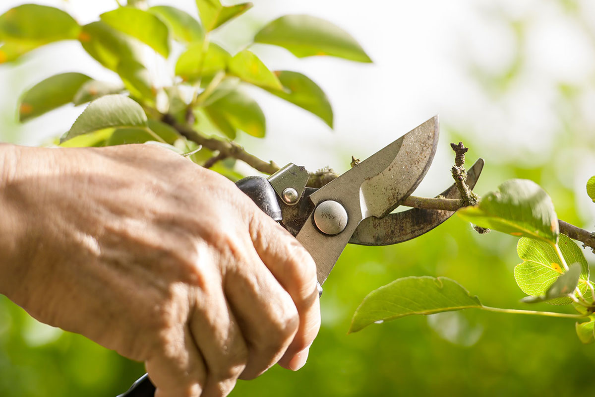 Nicht jeder hat Zeit und Lust den Garten zu pflegen. Legen Sie die Gartenpflege in unsere professionellen Hände. Wir sind für Sie da.