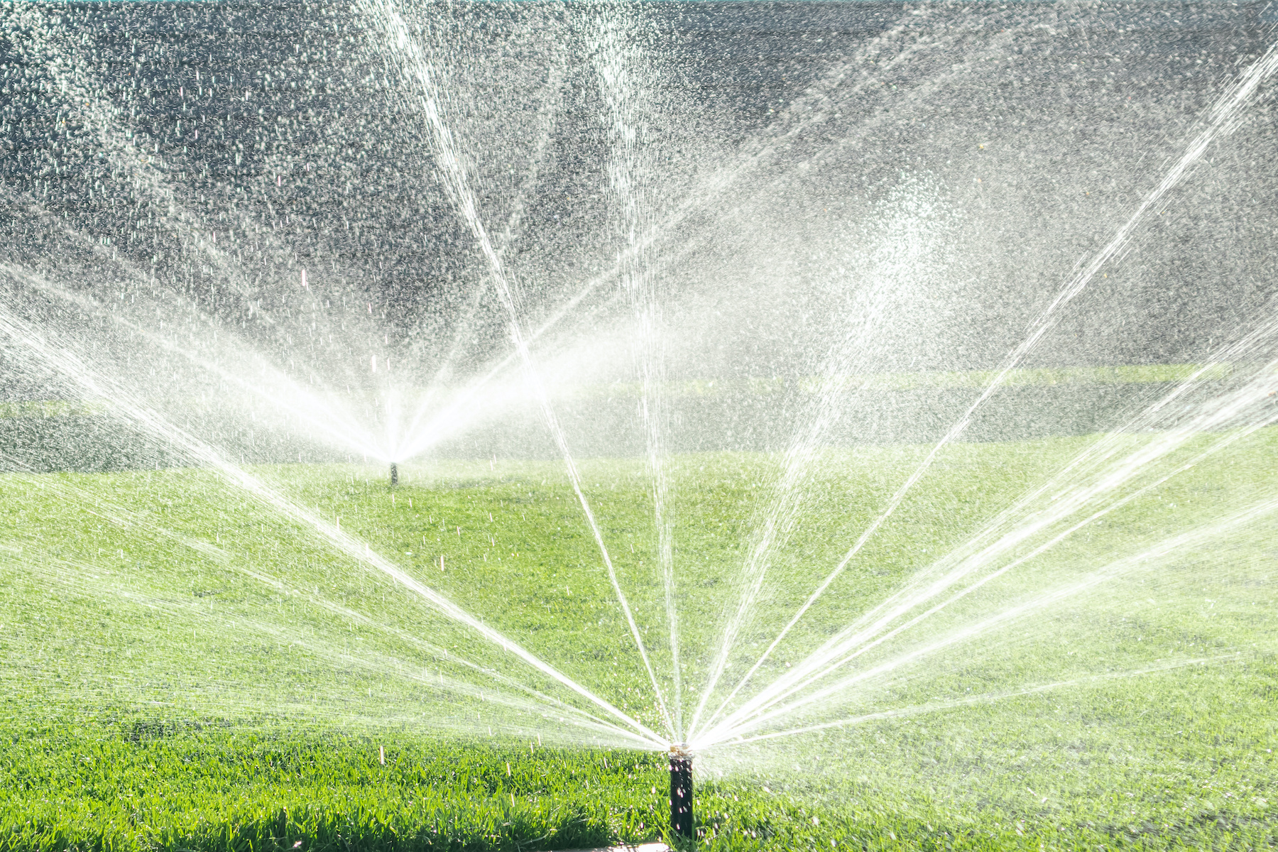 Die Bewässerung Ihres Gartens ist eine wichtige Aufgabe, lassen Sie sich bei Bewässerungsarbeiten von Gartenbau Hohenberg unterstützen.