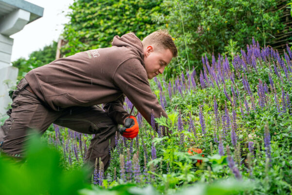 Nicht jeder hat Zeit und Lust den Garten zu pflegen. Legen Sie die Gartenpflege in unsere professionellen Hände. Wir sind für Sie da.