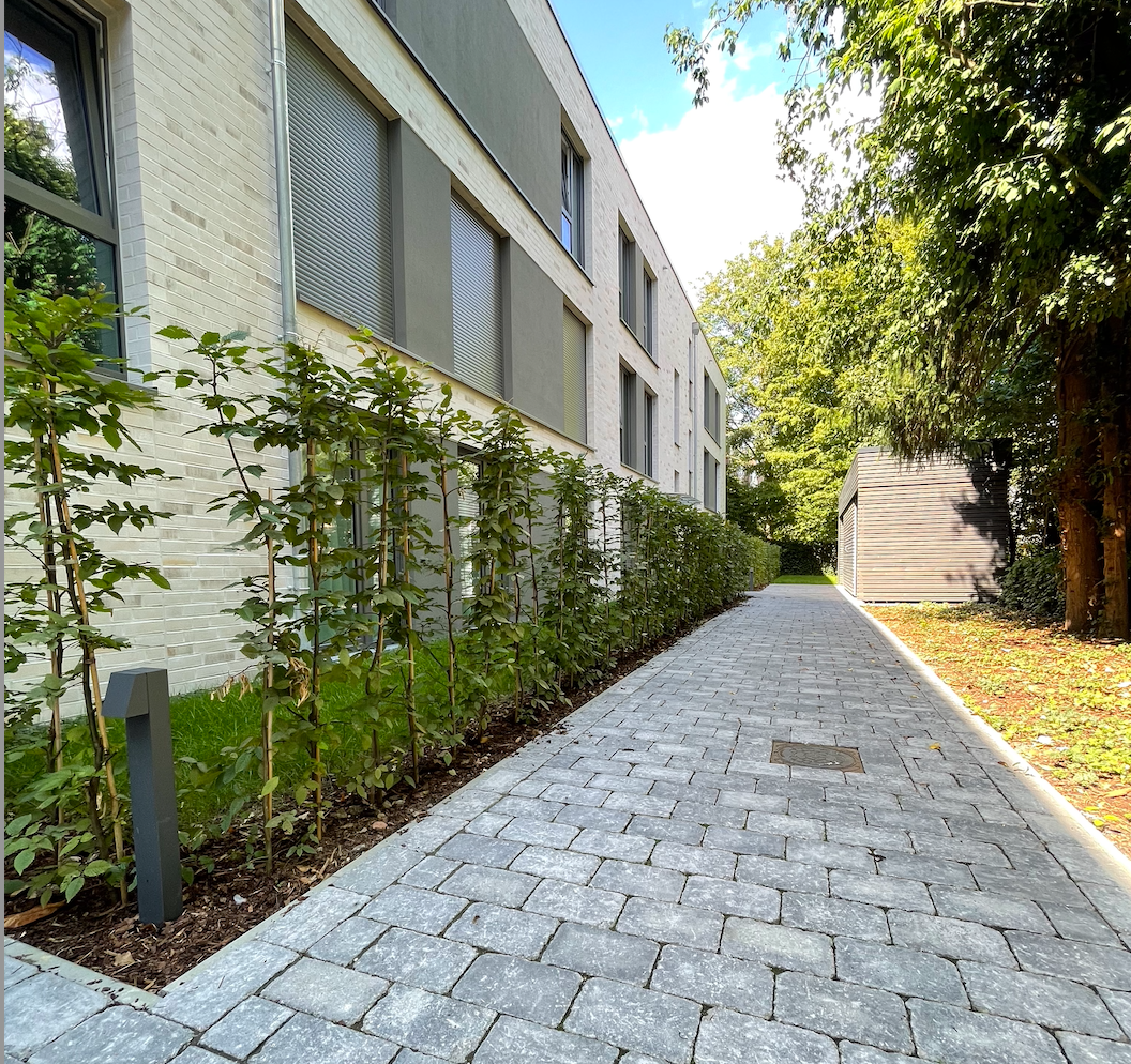 Pflasterarbeiten und Begrünung HH-Uhlenhorsterweg - Fußweg